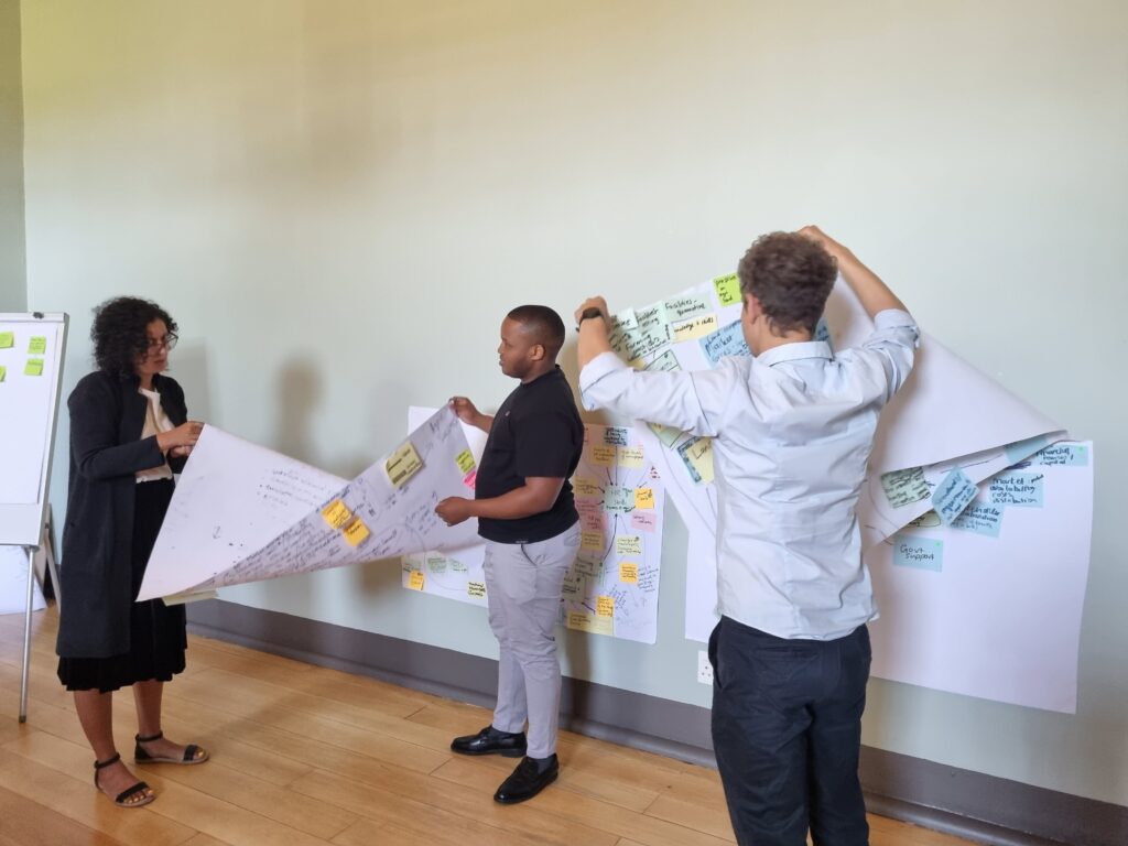 systems mapping